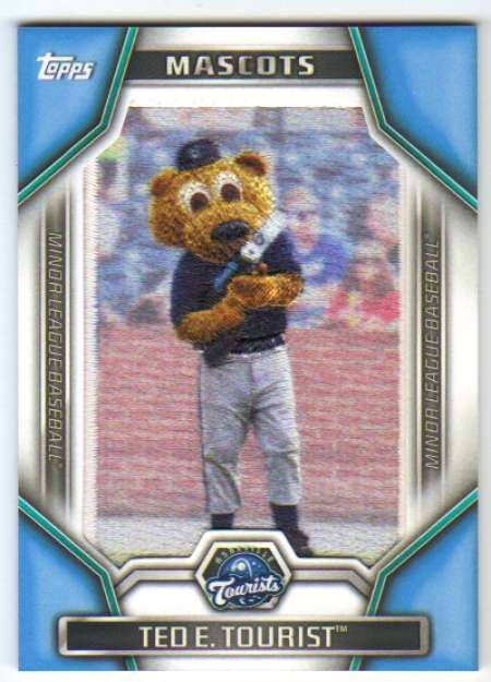2015 Topps Pro Debut Minor League Mascot Patch