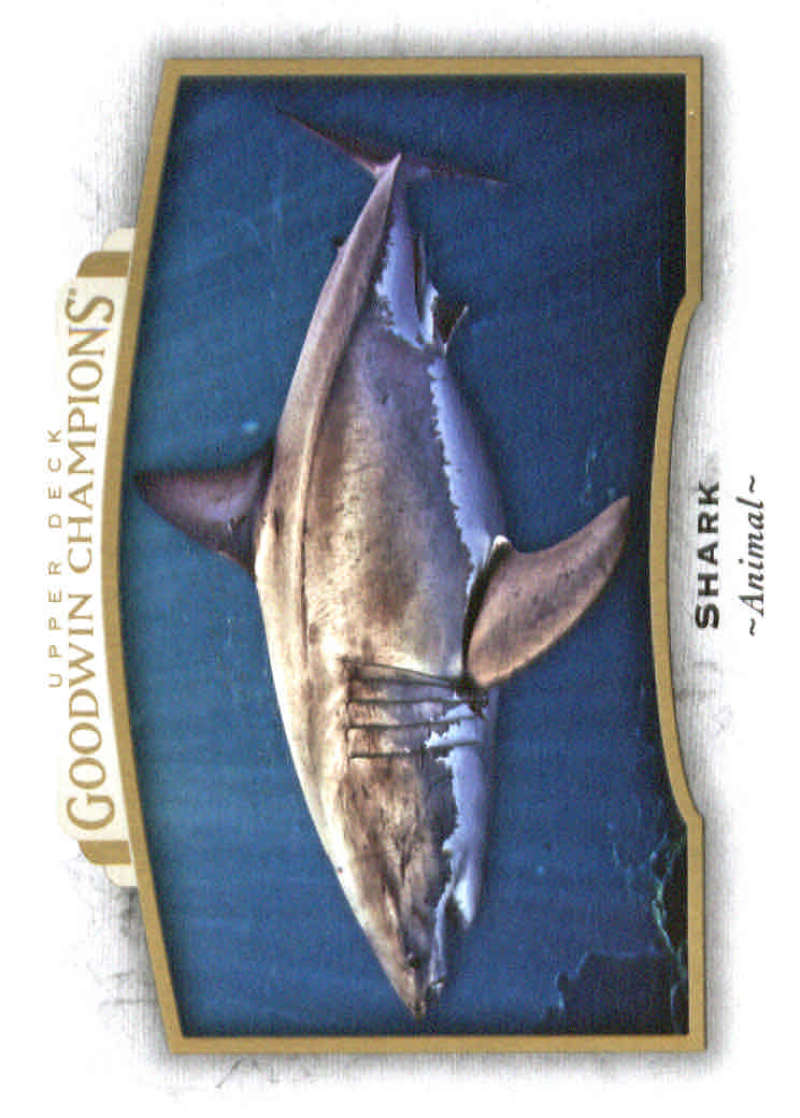 2017 Upper Deck Goodwin Shark #74 NM+ Horizontal